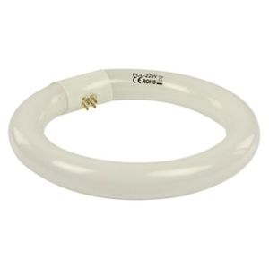 MAG-SPARE-2